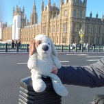Cuddles in front of Big Ben, February 2022
