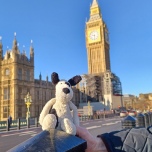 Buggles in front of Big Ben, February 2022